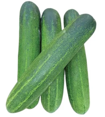 cucumber